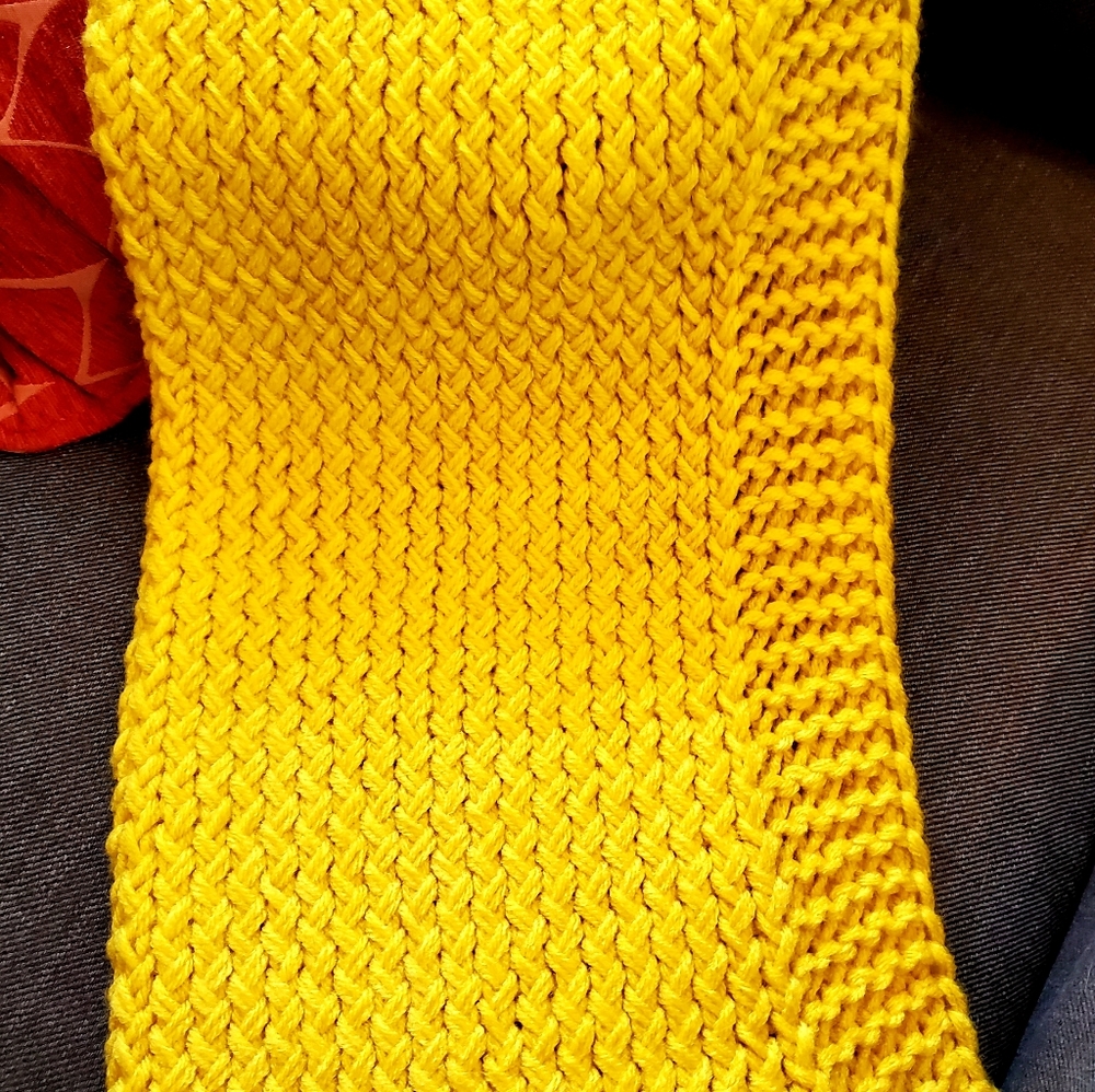 Tracy edged scarf